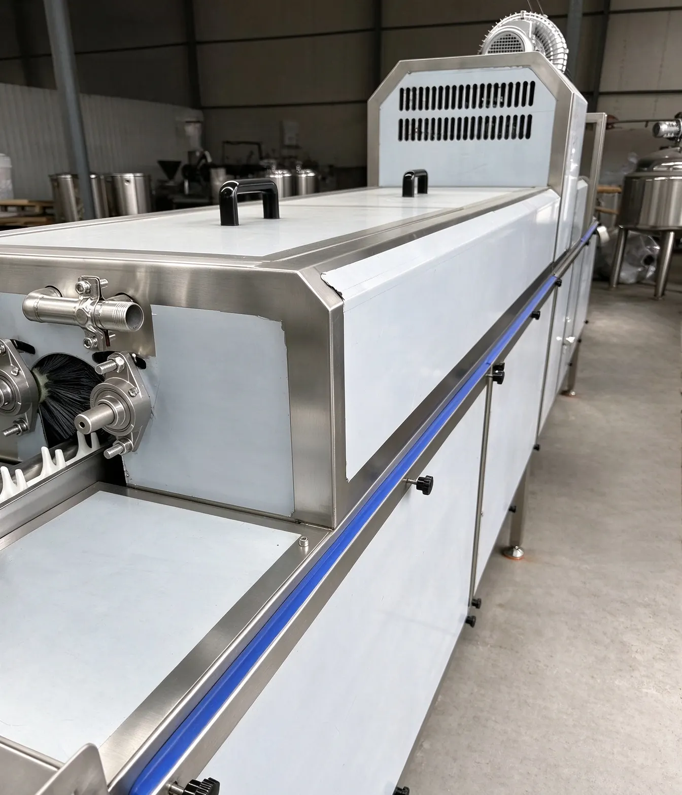 Egg washing line – brush section