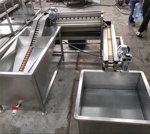 Rotary egg washer